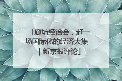 廊坊经洽会，赶一场国际化的经济大集｜新京报评论
