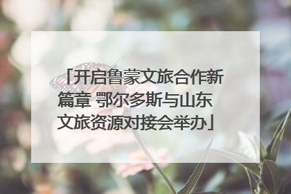 开启鲁蒙文旅合作新篇章 鄂尔多斯与山东文旅资源对接会举办