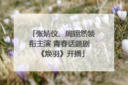 张婧仪、周翊然领衔主演 青春话题剧《焕羽》开播