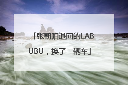 张朝阳退回的LABUBU，换了一辆车