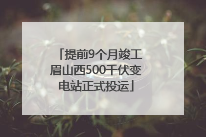 提前9个月竣工 眉山西500千伏变电站正式投运