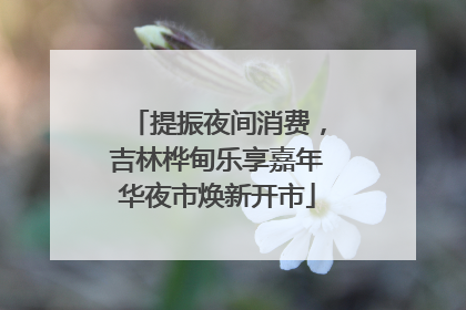 提振夜间消费，吉林桦甸乐享嘉年华夜市焕新开市