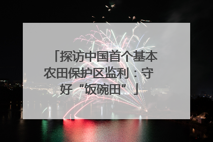 探访中国首个基本农田保护区监利：守好“饭碗田”