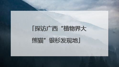 探访广西“植物界大熊猫”银杉发现地