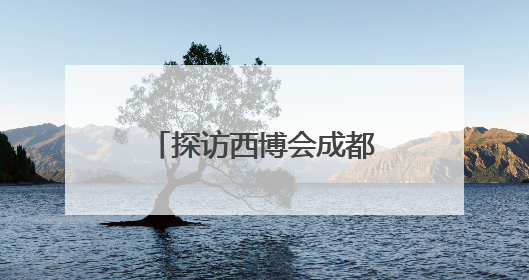 探访西博会成都馆：一网打尽“成都智造” 硬核科技赚足观众眼球