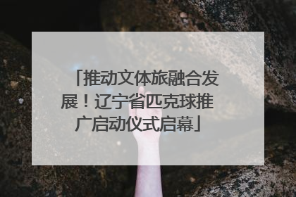 推动文体旅融合发展！辽宁省匹克球推广启动仪式启幕