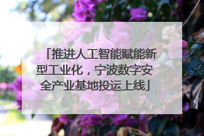 推进人工智能赋能新型工业化，宁波数字安全产业基地投运上线