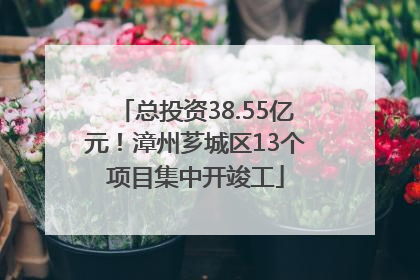 总投资38.55亿元！漳州芗城区13个项目集中开竣工