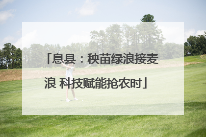 息县：秧苗绿浪接麦浪 科技赋能抢农时