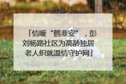 情暖“鹤耋安”，彭刘杨路社区为高龄独居老人织就温情守护网