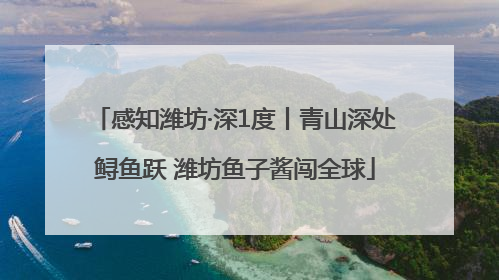 感知潍坊·深1度丨青山深处鲟鱼跃 潍坊鱼子酱闯全球