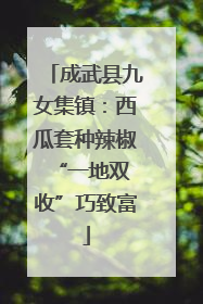 成武县九女集镇：西瓜套种辣椒 “一地双收”巧致富