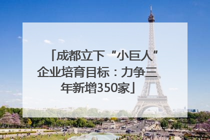 成都立下“小巨人”企业培育目标：力争三年新增350家