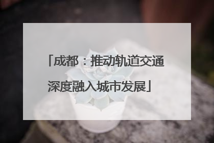 成都：推动轨道交通深度融入城市发展