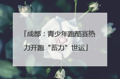 成都：青少年跑酷赛热力开跑“蓄力”世运