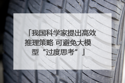 我国科学家提出高效推理策略 可避免大模型“过度思考”