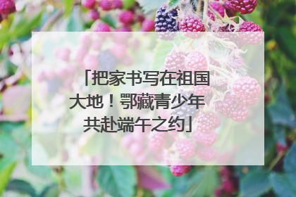 把家书写在祖国大地！鄂藏青少年共赴端午之约