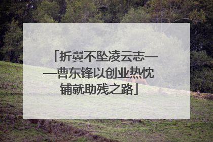 折翼不坠凌云志——曹东锋以创业热忱铺就助残之路