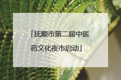 抚顺市第二届中医药文化夜市启动