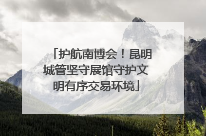 护航南博会！昆明城管坚守展馆守护文明有序交易环境