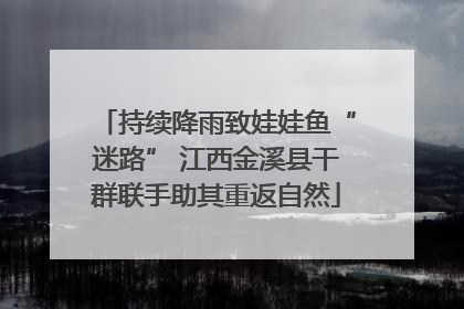 持续降雨致娃娃鱼“迷路” 江西金溪县干群联手助其重返自然