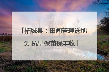 柘城县：田间管理送地头 抗旱保苗保丰收