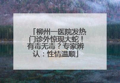 柳州一医院发热门诊外惊现大蛇！有毒无毒？专家辨认：性情温顺