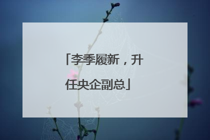 李季履新，升任央企副总