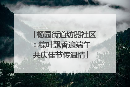 杨园街道纺器社区：粽叶飘香迎端午 共庆佳节传温情