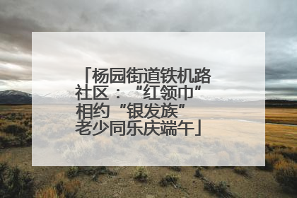 杨园街道铁机路社区：“红领巾”相约“银发族” 老少同乐庆端午