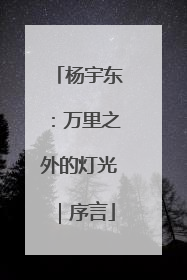 杨宇东：万里之外的灯光｜序言