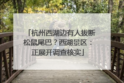 杭州西湖边有人拔断松鼠尾巴？西湖景区：正展开调查核实