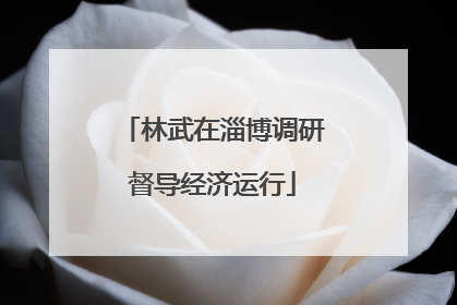 林武在淄博调研督导经济运行