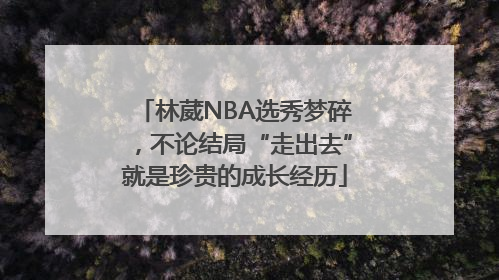 林葳NBA选秀梦碎，不论结局“走出去”就是珍贵的成长经历