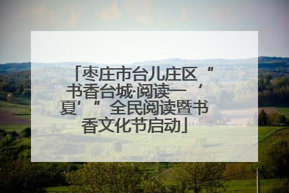 枣庄市台儿庄区“书香台城·阅读一‘夏’”全民阅读暨书香文化节启动