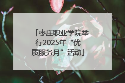 枣庄职业学院举行2025年“优质服务月”活动