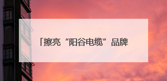 擦亮“阳谷电缆”品牌！市场监管总局到阳谷开展电线电缆专题调研