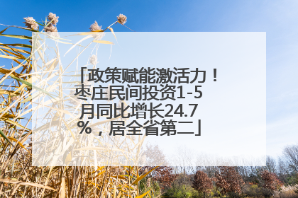 政策赋能激活力！枣庄民间投资1-5月同比增长24.7%，居全省第二