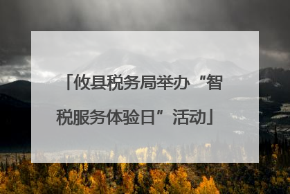 攸县税务局举办“智税服务体验日”活动