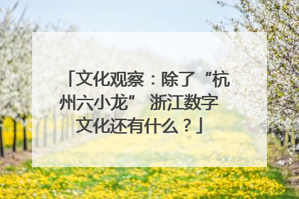 文化观察：除了“杭州六小龙” 浙江数字文化还有什么？