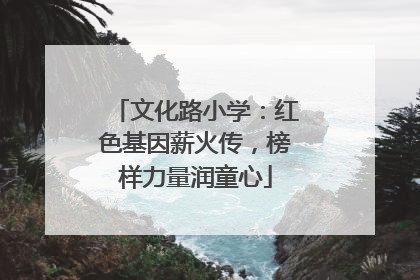 文化路小学：红色基因薪火传，榜样力量润童心