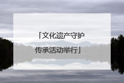 文化遗产守护传承活动举行