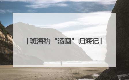 斑海豹“汤圆”归海记
