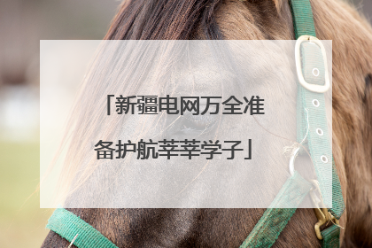 新疆电网万全准备护航莘莘学子