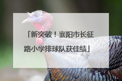 新突破！襄阳市长征路小学排球队获佳绩