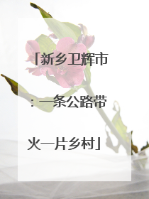 新乡卫辉市：一条公路带火一片乡村