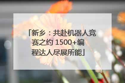 新乡：共赴机器人竞赛之约 1500+编程达人尽展所能