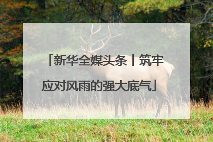 新华全媒头条丨筑牢应对风雨的强大底气