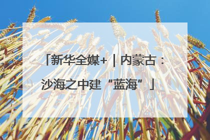 新华全媒+｜内蒙古：沙海之中建“蓝海”