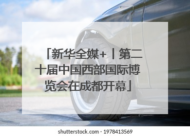新华全媒+丨第二十届中国西部国际博览会在成都开幕